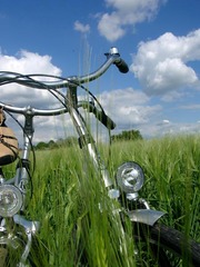 Killikus&reg; Fotographie